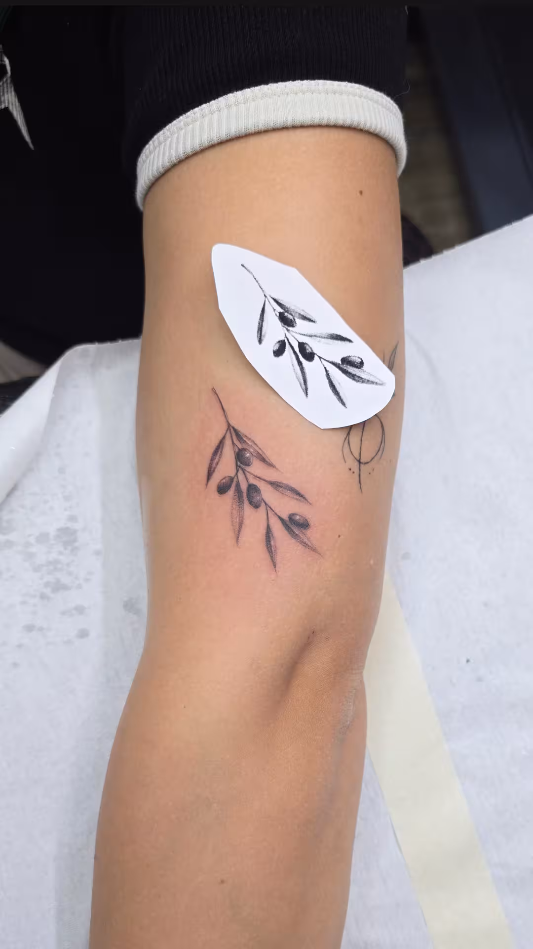 Fineline style τατουάζ στον βραχίονα με καθαρές γραμμές